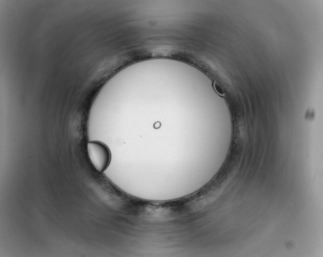 X0000101980311200808011106