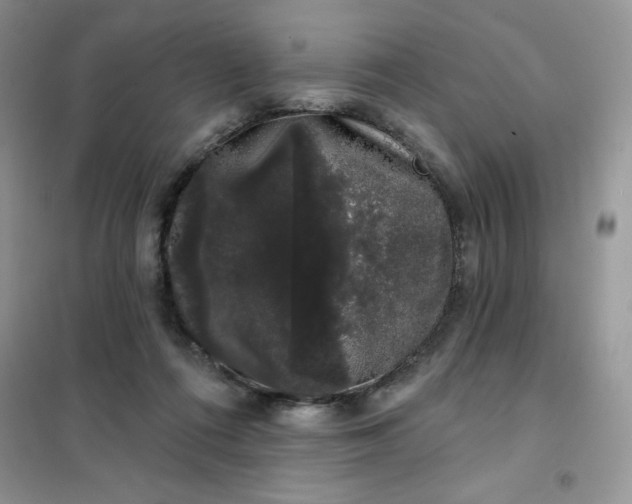 X0000101980312200808011106