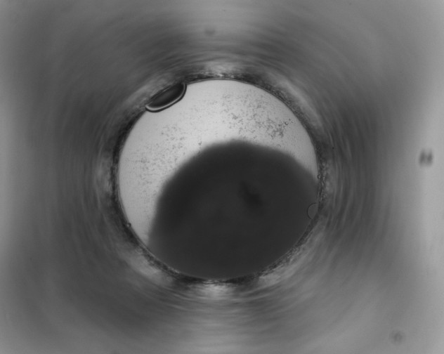 X0000101980313200808011106