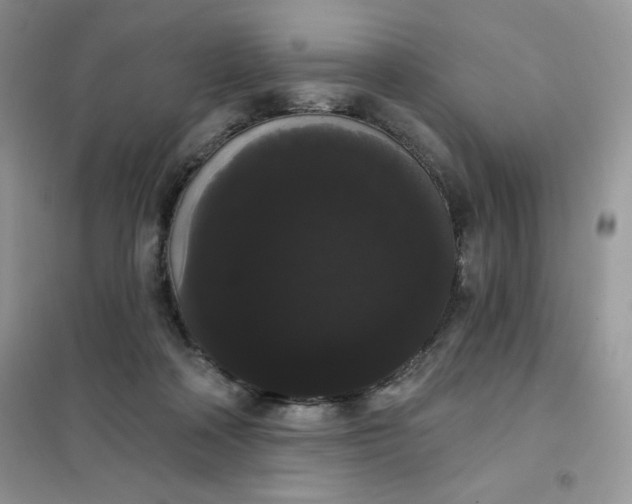 X0000101980314200808011106