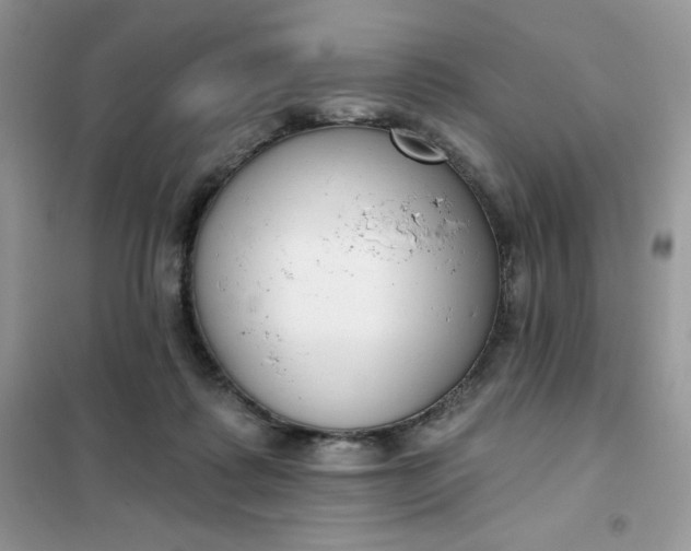 X0000101980315200808011106