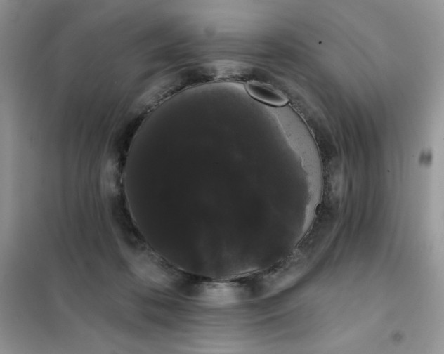 X0000101980316200808011106