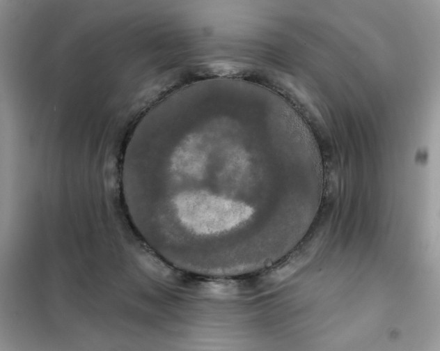 X0000101980317200808011106