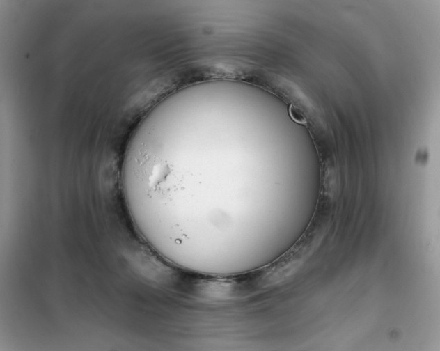 X0000101980318200808011106