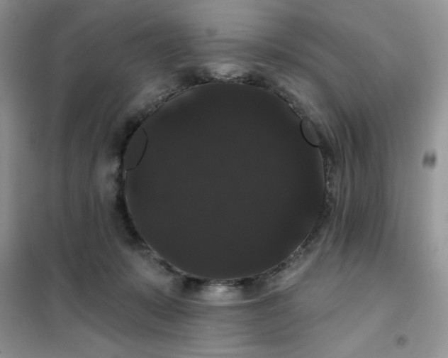 X0000101980319200808011106