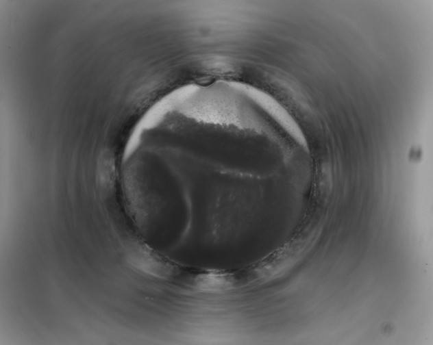 X0000101980320200808011105