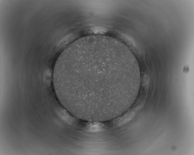 X0000101980321200808011105