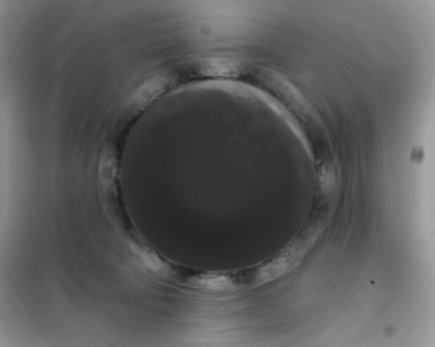 X0000101980322200808011105