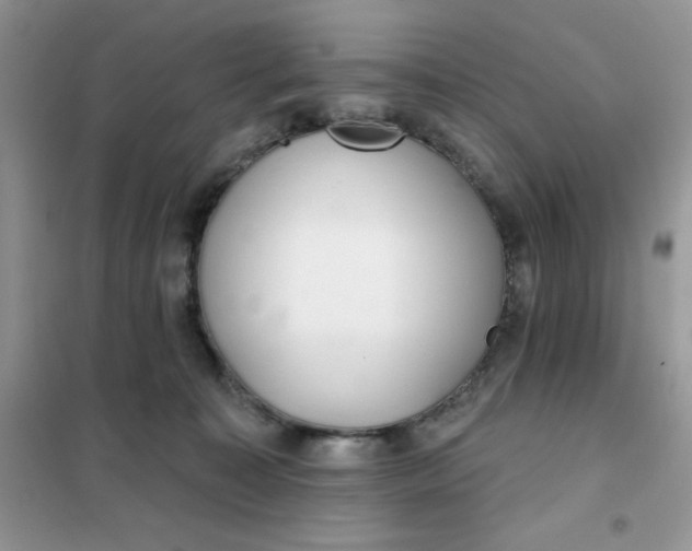 X0000101980323200808011105