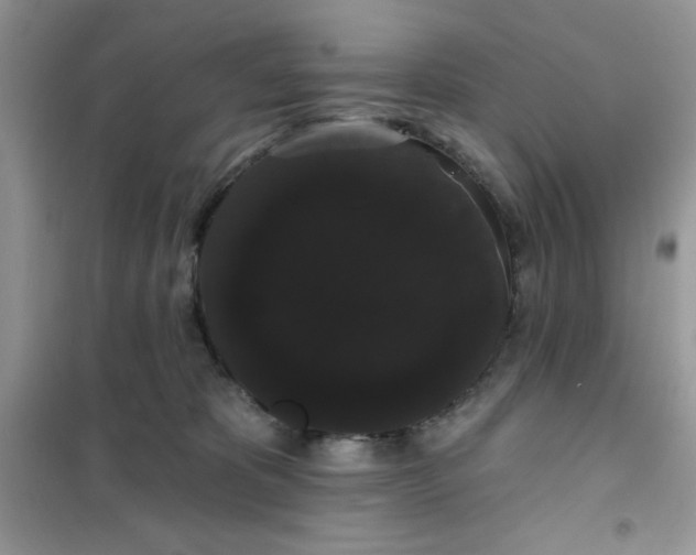 X0000101980325200808011105