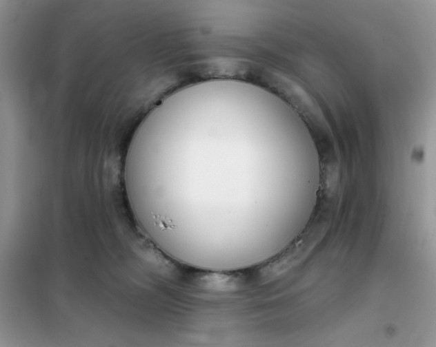 X0000101980326200808011105