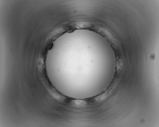 X0000101980327200808011105