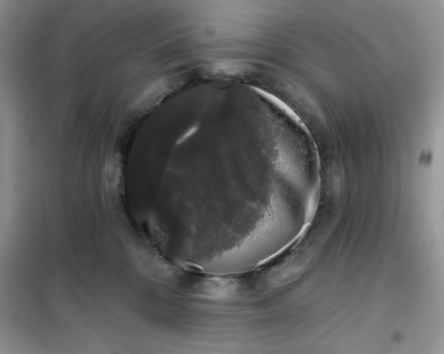 X0000101980328200808011105