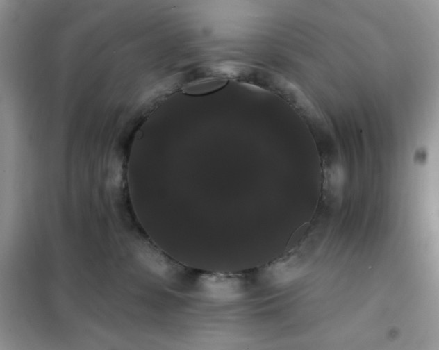 X0000101980331200808011105