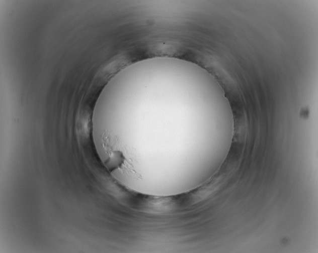 X0000101980334200808011105