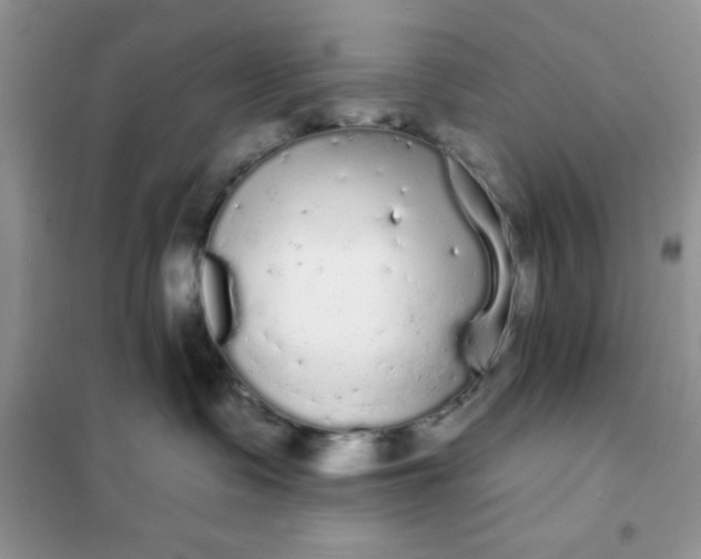 X0000101980335200808011105