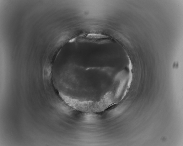 X0000101980336200808011105