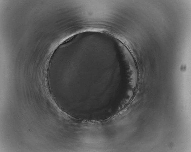 X0000101980337200808011105