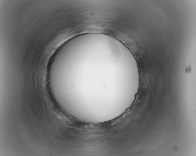 X0000101980338200808011105