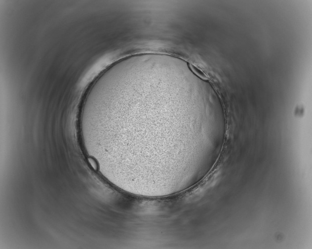 X0000101980341200808011105