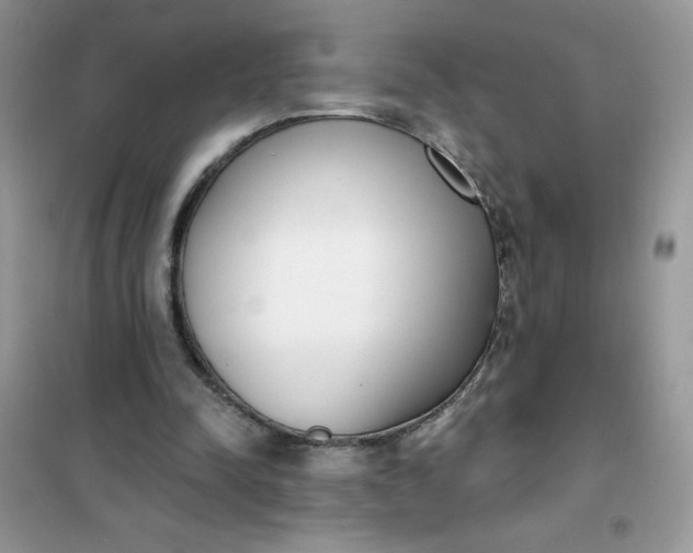 X0000101980342200808011105