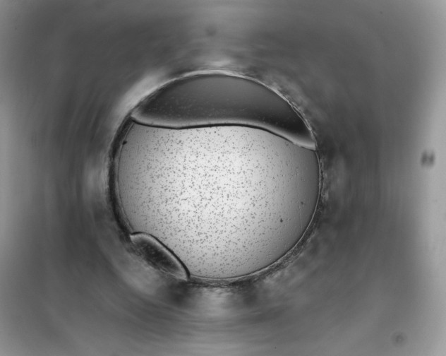 X0000101980344200808011105