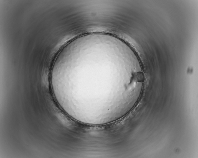 X0000101980345200808011105