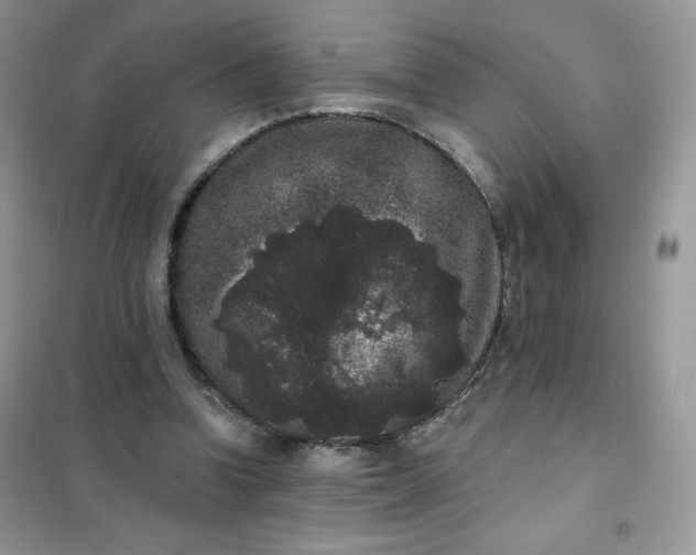 X0000101980346200808011105