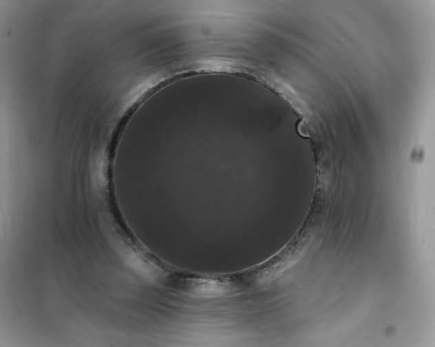 X0000101980347200808011105