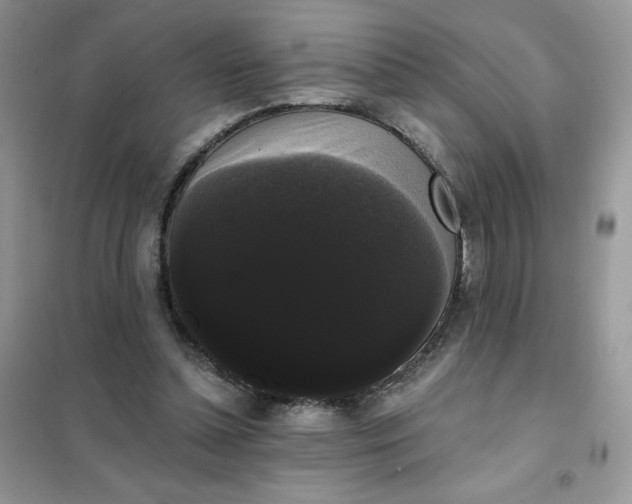 X0000101980348200808011105