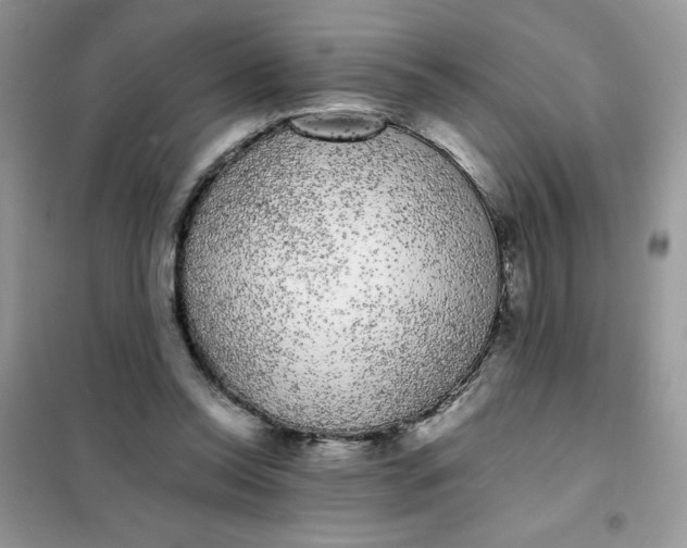 X0000101980350200808011105