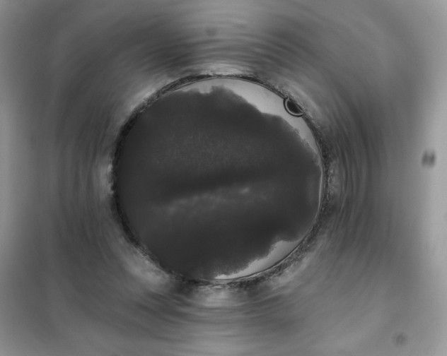 X0000101980351200808011105