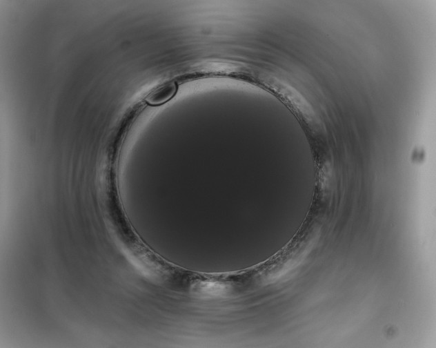 X0000101980352200808011105