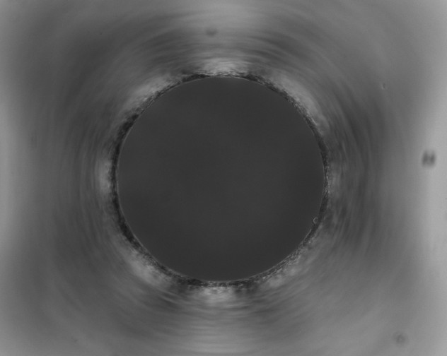 X0000101980353200808011105