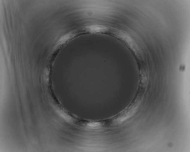 X0000101980357200808011105