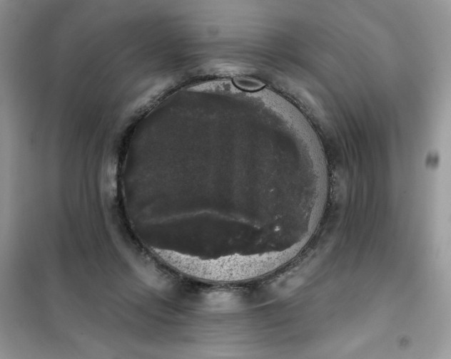 X0000101980358200808011105