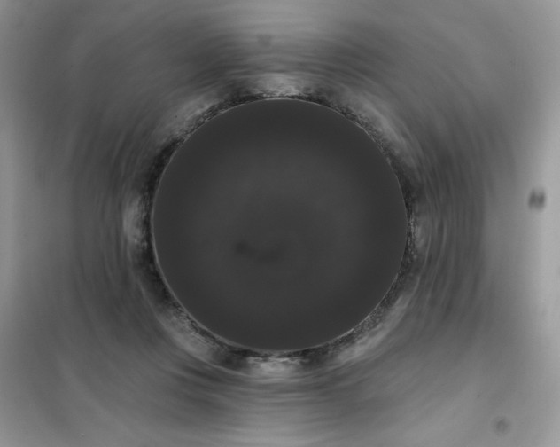 X0000101980359200808011105