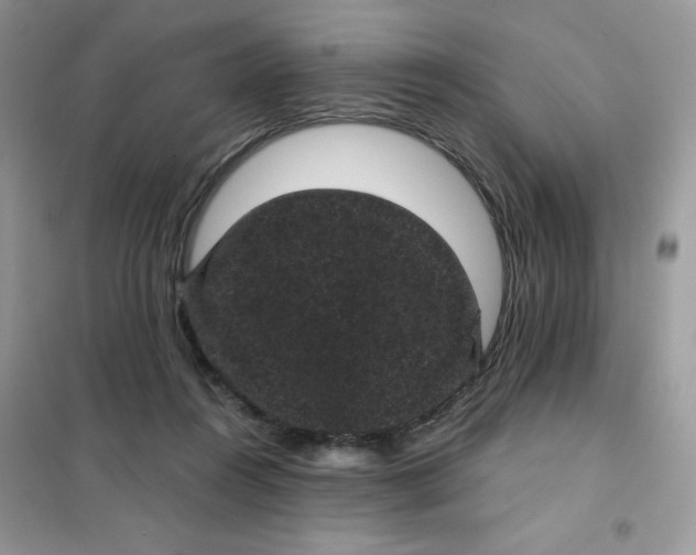 X0000101980360200808011105