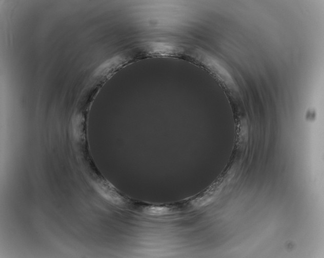 X0000101980361200808011105