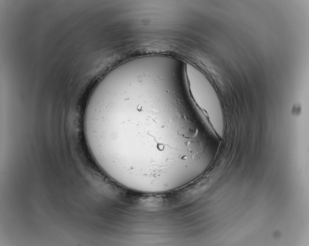 X0000101980362200808011105