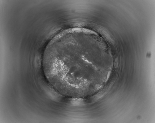 X0000101980363200808011105