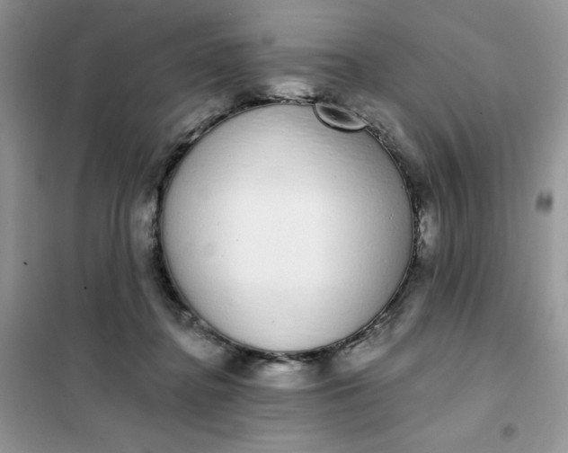 X0000101980364200808011105