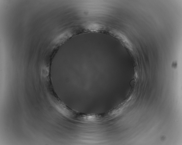 X0000101980365200808011105