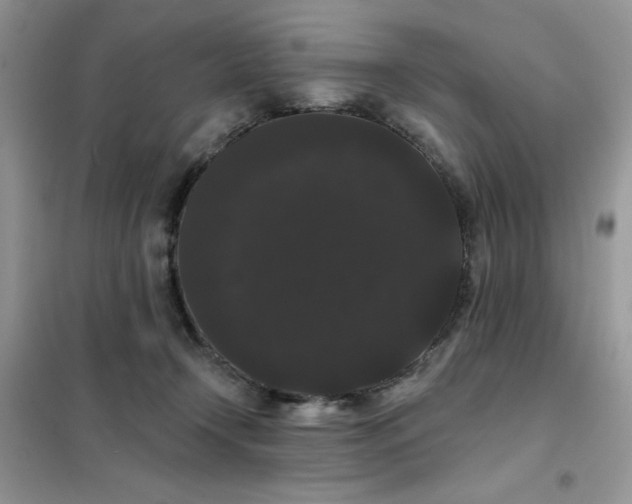 X0000101980366200808011105