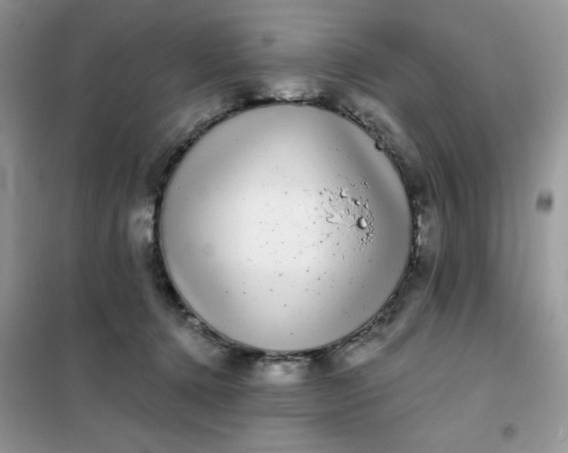 X0000101980368200808011105