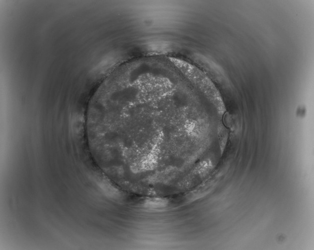 X0000101980369200808011105