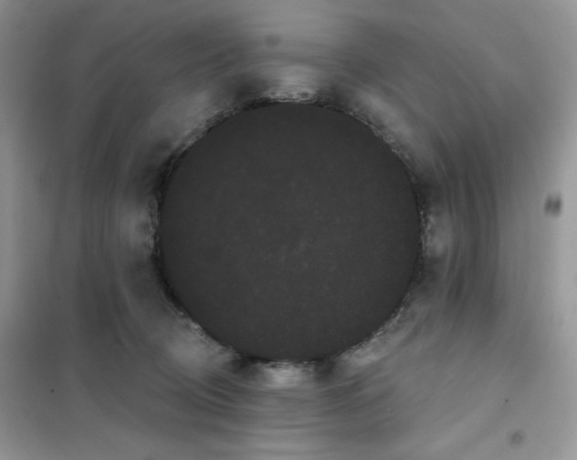 X0000101980370200808011105