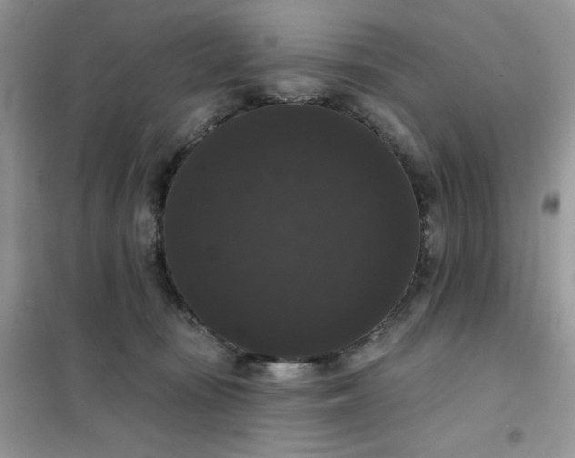 X0000101980371200808011105