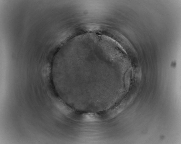 X0000101980372200808011105