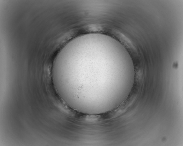 X0000101980373200808011105